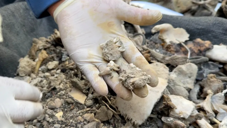 Gazze'de enkaz altında kaybolan binlerce insan aranıyor